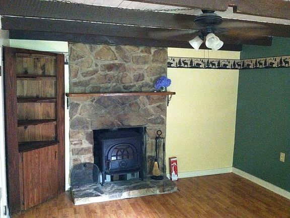 Wood Burning Stove in the Living Room