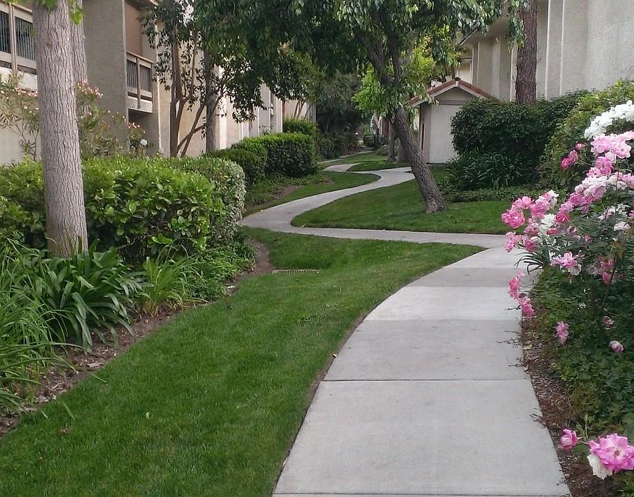 Meandering garden pathways