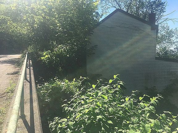 3rd image of 262 57th St