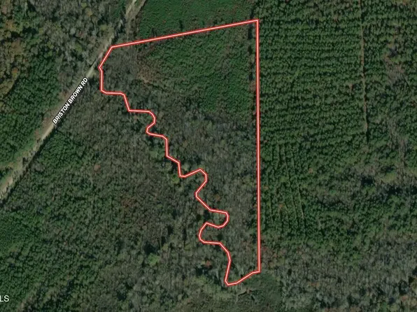 0 Briston Brown Rd, Littleton, NC 27850