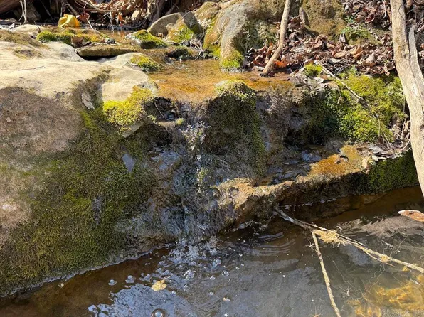 County Road 423, Saint Joe, AR 72675