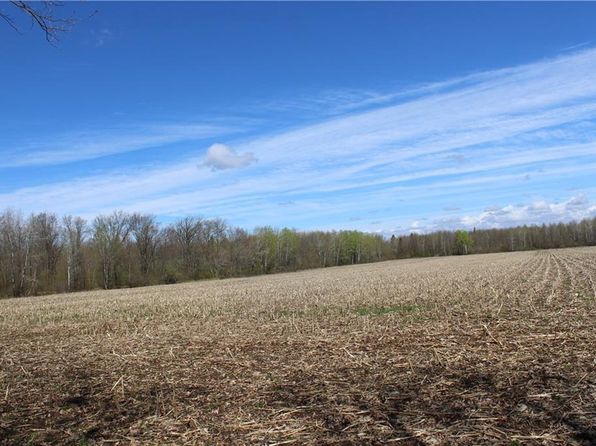 00 Schalk Road - 63 acres, Ogema, WI 54459