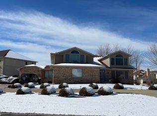 20024 Overland Trl, Olympia Fields, IL 60461