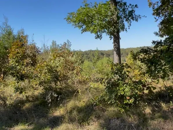 LOT 3318 Ohio Dr, Hot Springs National Park, AR 71913