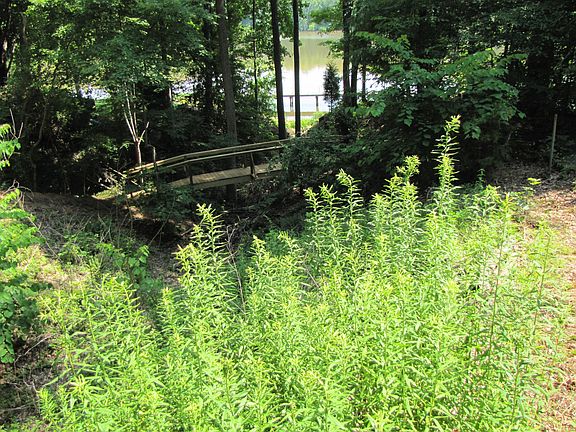 new bridge
