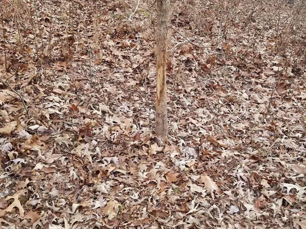 (undisclosed Address), Batesville, AR 72501