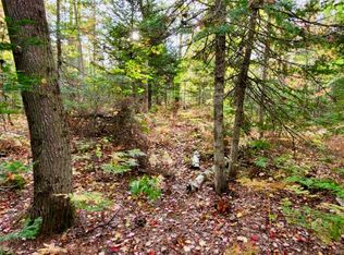 Merwin Creek Rd, Manistique, MI 49854