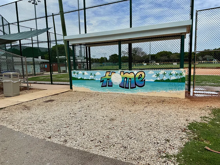 public baseball fields down the street