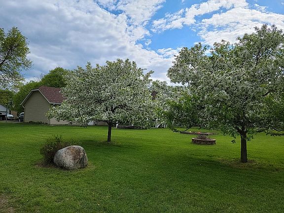 Flowering Crab Trees
