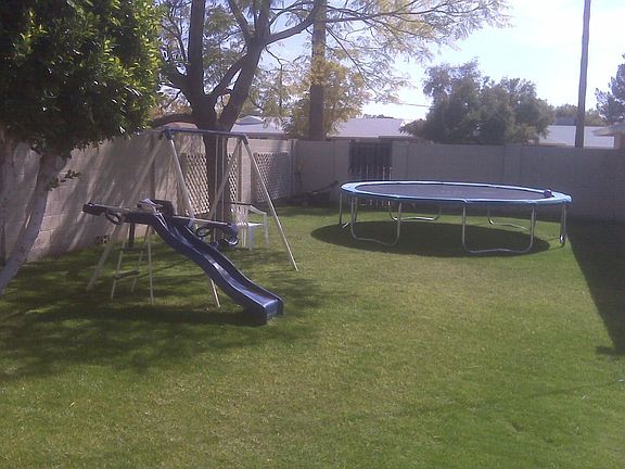 Grass Side of the Backyard
