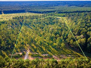 1448 Richardson Rd E, Livingston, TX 77351