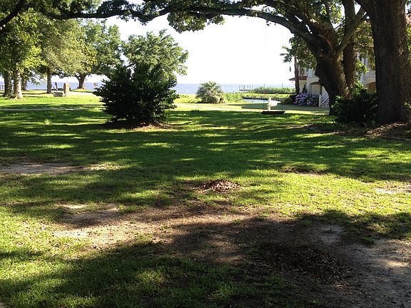 Oak and view of water