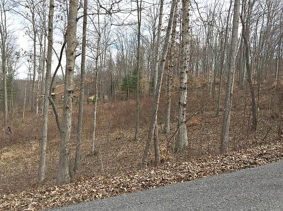 2nd image of Skyline Dr