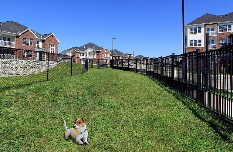 BelleMeade Apartments — Photo 12