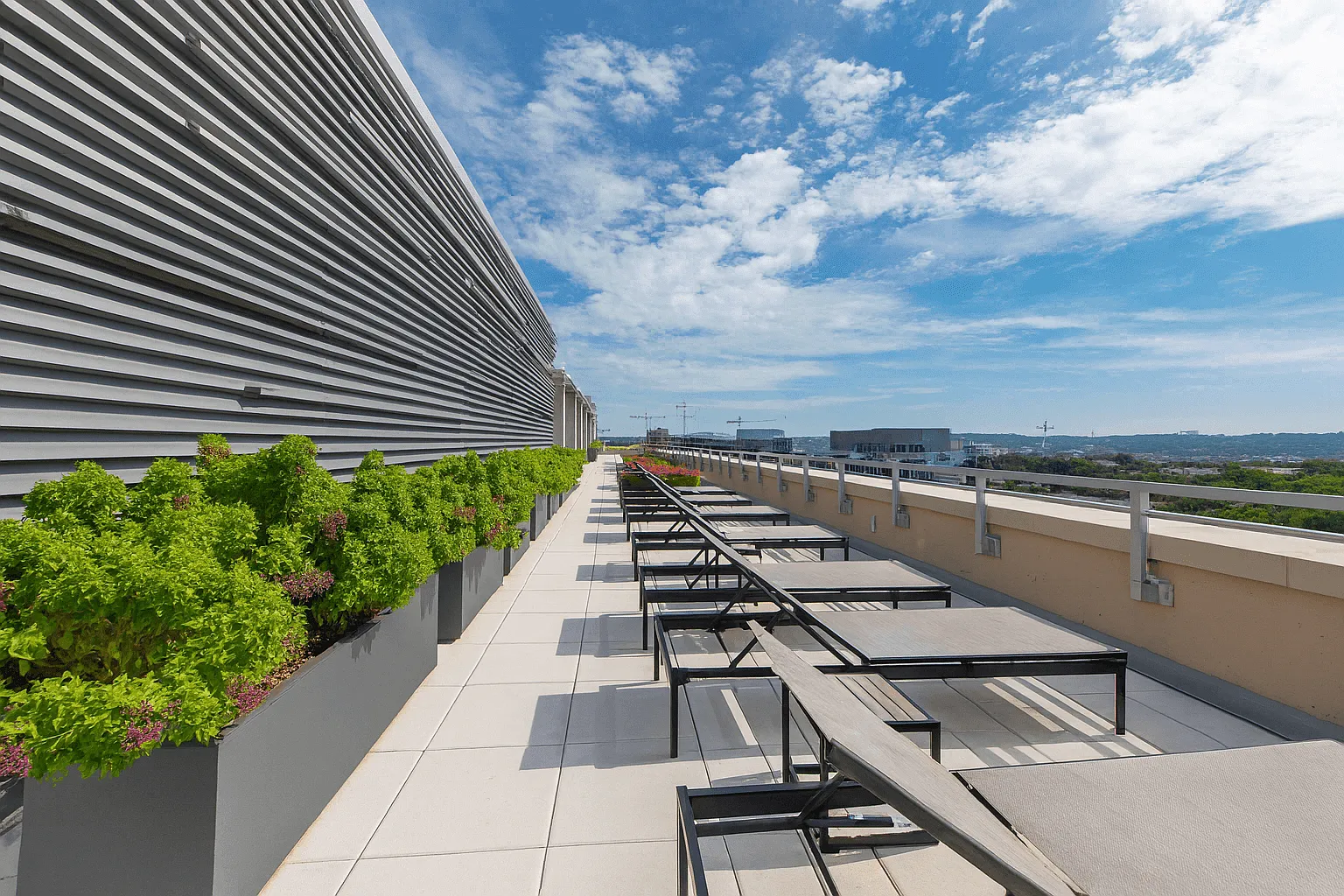 Artline Apartments — Photo 3