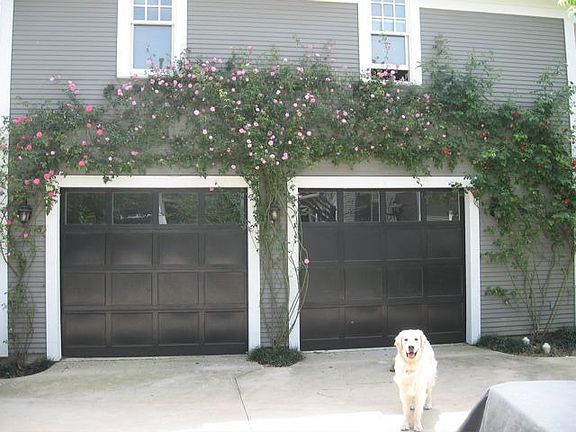 Garage w/Blooming Trailing Vines