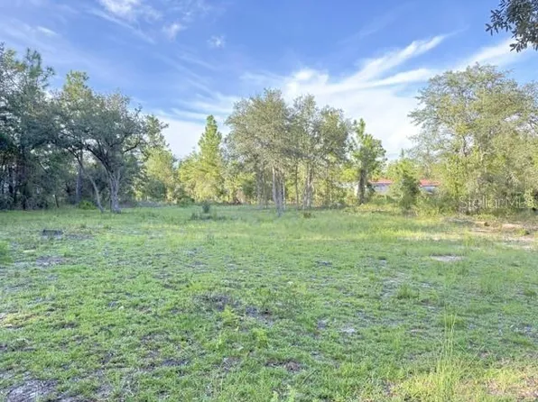 00 NE 50TH PLACE LOT 25, WILLISTON, FL 32696