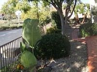 2nd image of 12118 Iron View Row