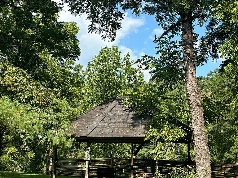 6 Carroll Mountain Dr — Photo 8