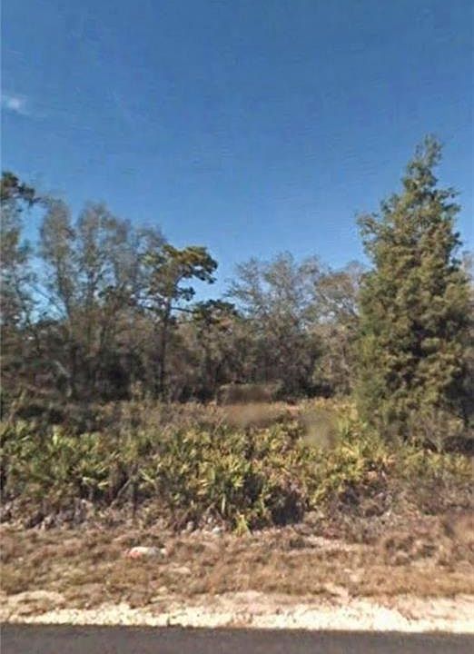 1st image of 11959 W Cockscomb Dr