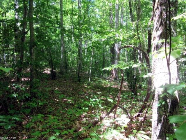 2nd image of 1254 Old Sweetwater Rd