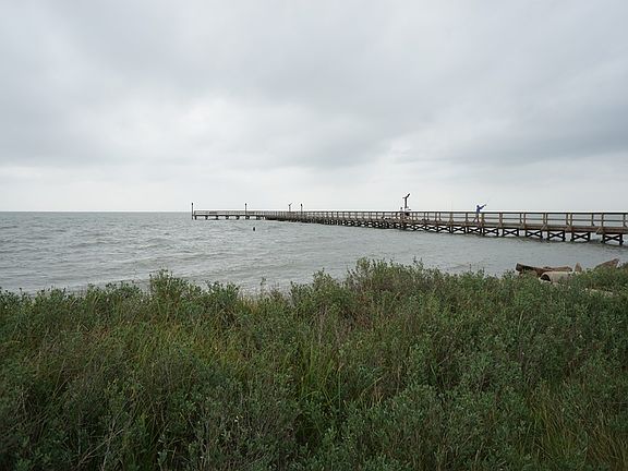 4th image of 339 Bracht Dr