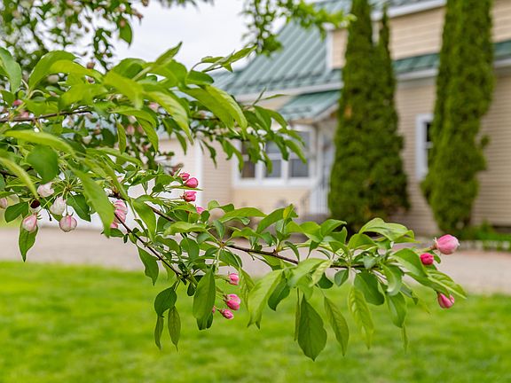 4th image of 303 Williams Road