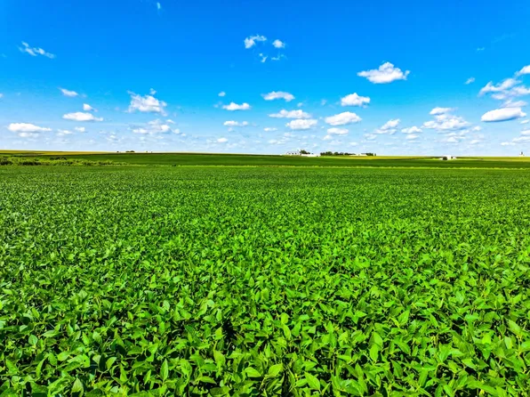 P Ave, Maynard, IA 50655