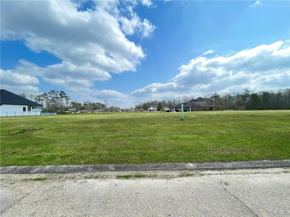21548 Blue Marlin Dr, Springfield, LA 70462