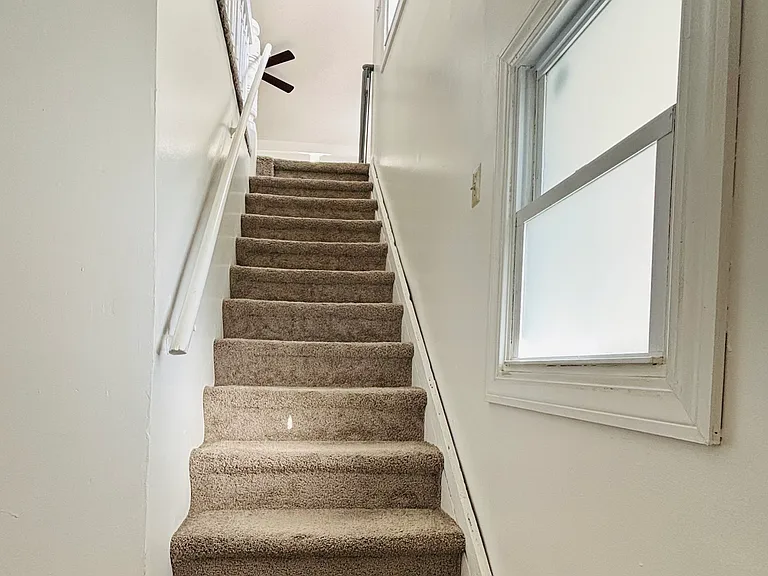 New Carpet.