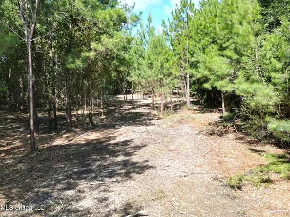6065 Forrest H Necaise Rd Lot 3, Kiln, MS 39556