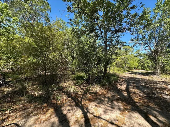 268 Spoonbill Dr, Poinciana, FL 34759