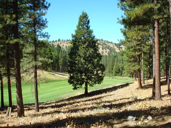 139 Bird Of Prey Ln, Portola, CA 96122