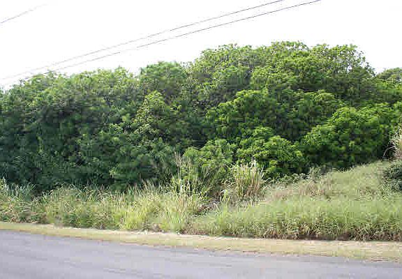 2nd image of Kilo Makani Pl Lot 6