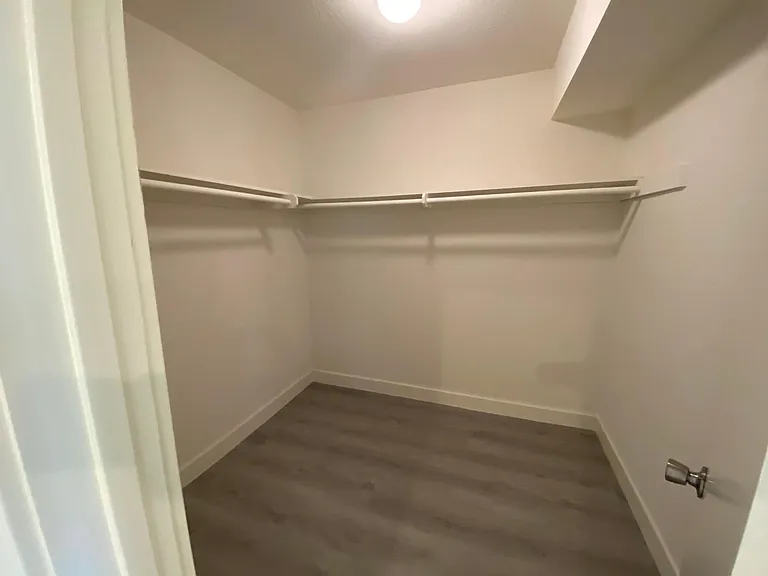 Large Walk In Closet in Bedroom