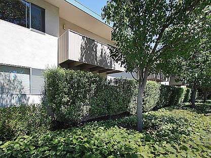 1st image of 330 Curtner Ave APT 5