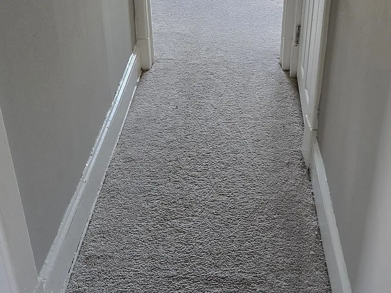 6532 Rosemont Ave #2 — Photo 7