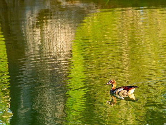 2nd image of 567 Bear Creek Road