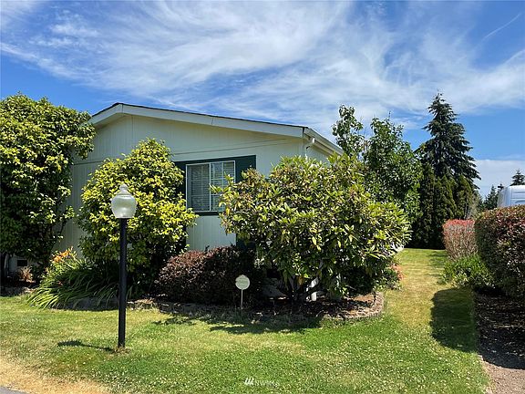 Mature trees and shrubs