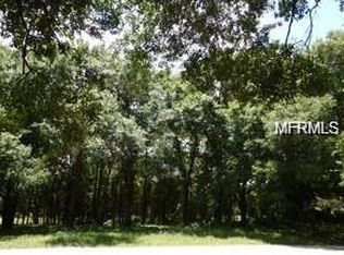11023 Bonnet Hole Dr, Thonotosassa, FL 33592