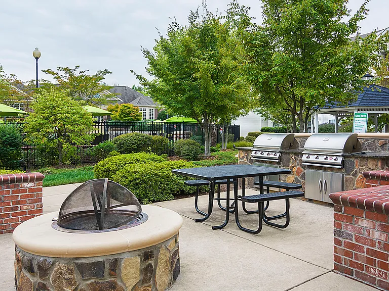Barbecue and Fire Pit