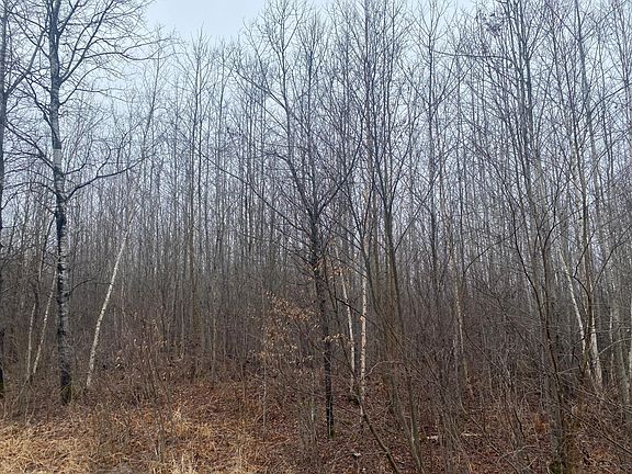5th image of On Shauger Rd