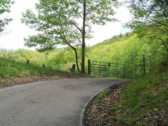 5th image of 000 Pine Orchard Road