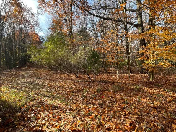 Beech Ave, Ludington, MI 49431