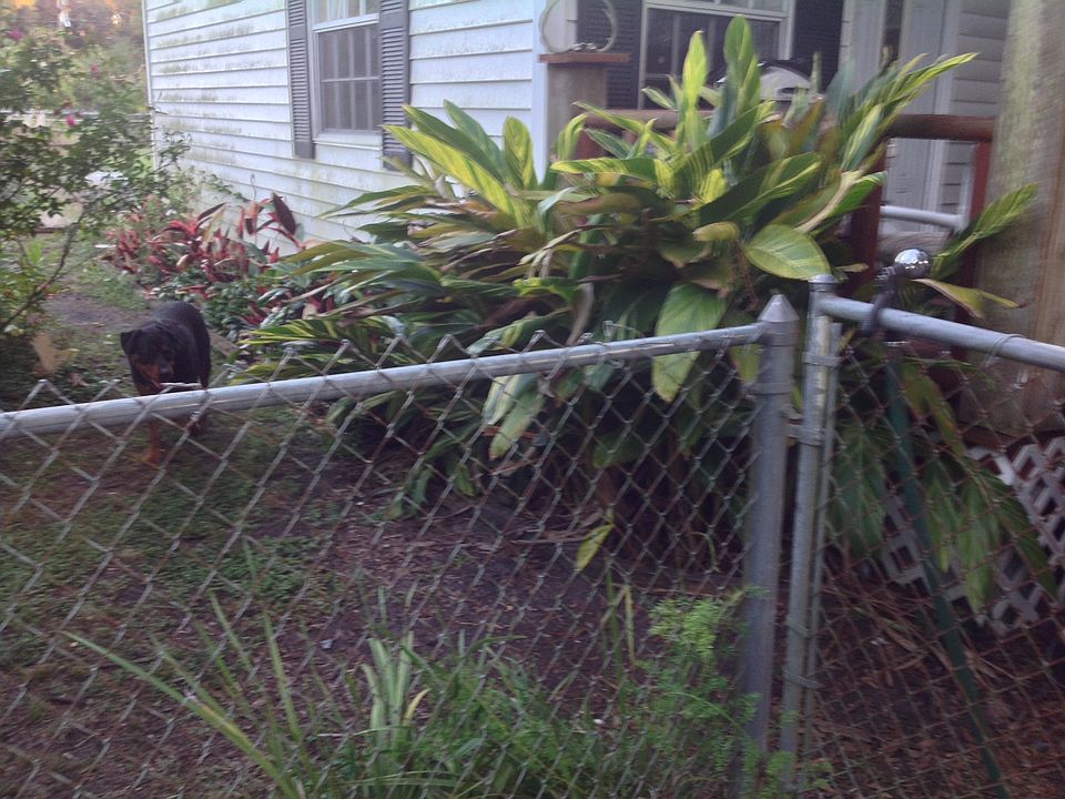 View from driveway