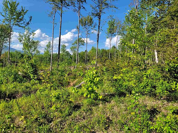 4th image of Lot 1 Victoria's Mountain Way
