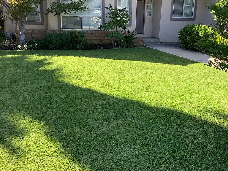 3027 Warbler Ct — Photo 14