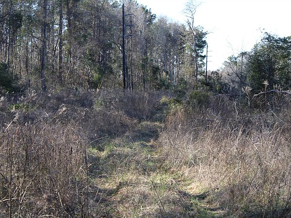 2nd image of County Road 1627