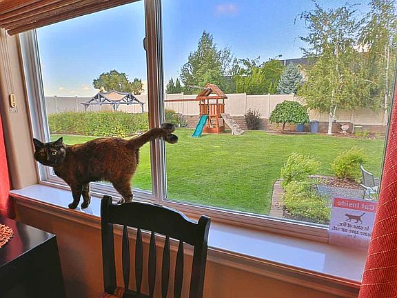 2nd image of 3903 Desert Plateau Dr