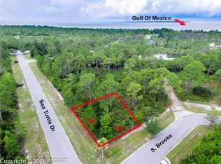 40 Sea Turtle Dr, Port St Joe, FL 32456